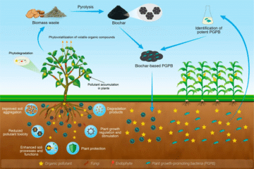Biochar: Jalan Pintas Bikin Lingkungan Lebih Asik!